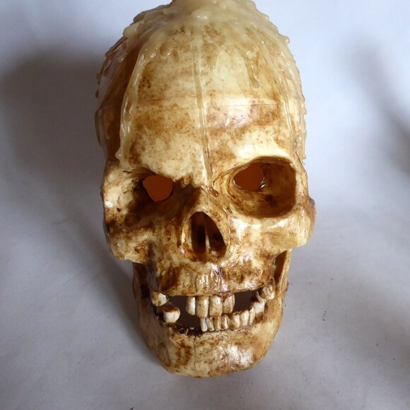 NEW HALLOWEEN GOTHIC HORROR TABLE CENTERPIECE APOTHECARY PROP ODDITY SKULL TRAY - Picture 6 of 15